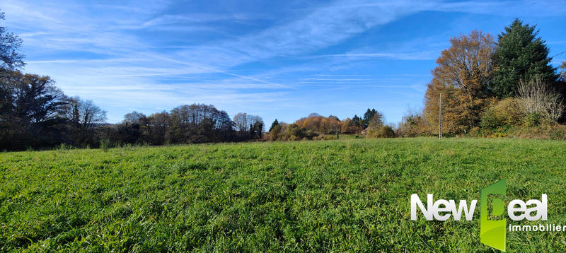 Terrain constructible - 9 000 m²