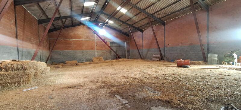 Maison - 131 m² - 8 pièces