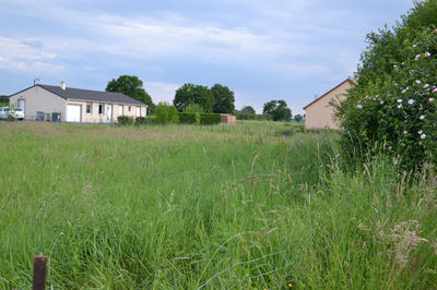 Terrain - 1 002 m²