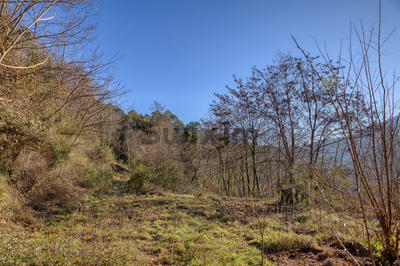 Terrain - 5 000 m²