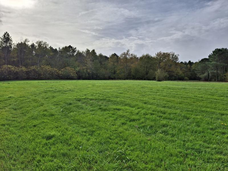 Maison ancienne - 129 m² - 6 pièces