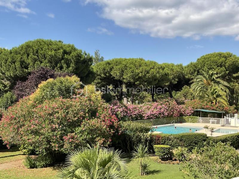 Studio - 24 m² - 1 pièce