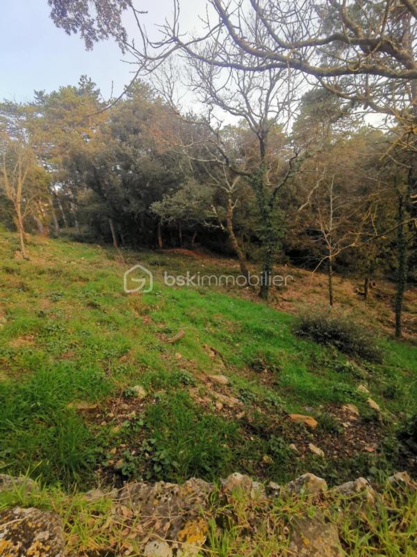 Maison ancienne - 120 m² - 4 pièces