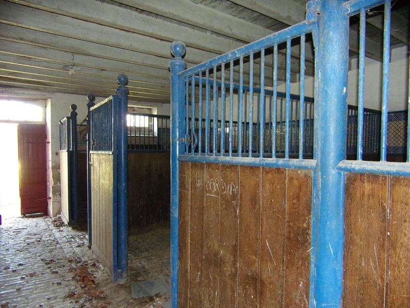 Maison ancienne - 334 m² - 10 pièces