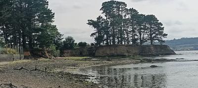 Terrain - 20 000 m²