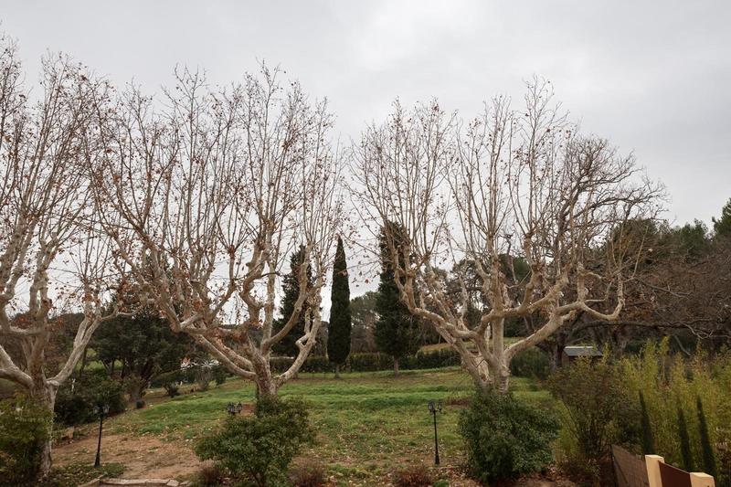 Appartement - 116 m² - 5 pièces