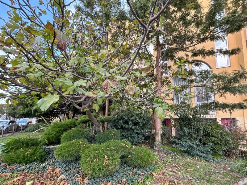 Appartement - 25 m² - 2 pièces