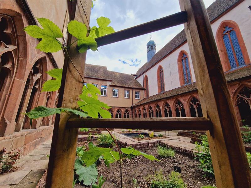 Conférence : la cure de printemps par Jean-Rémy Schleifer