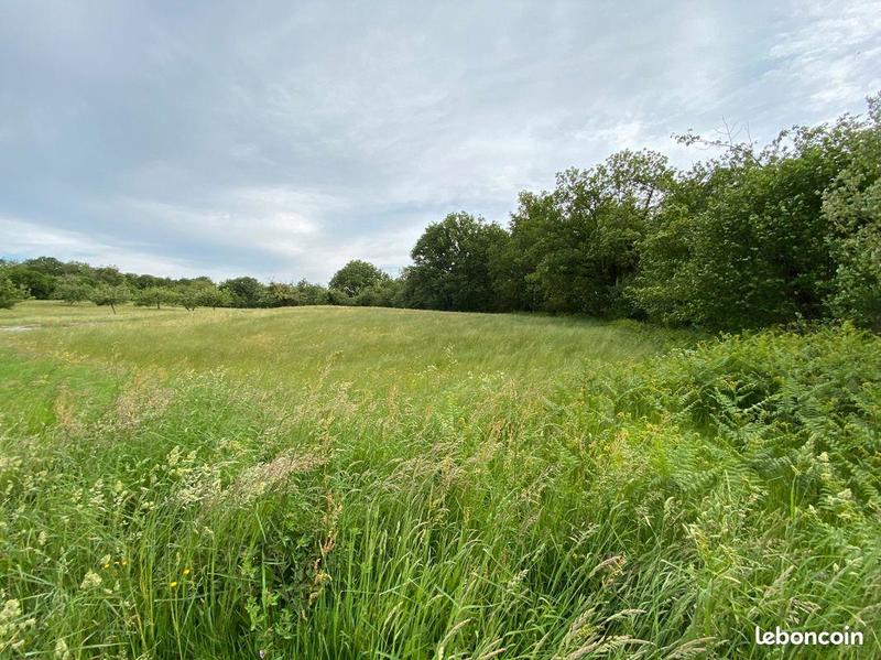 Terrain constructible - 1 490 m²
