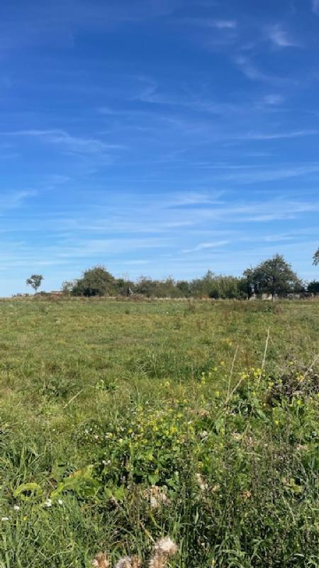 Terrain constructible - 1 919 m²