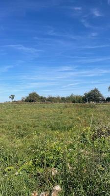 Terrain constructible - 1 919 m²