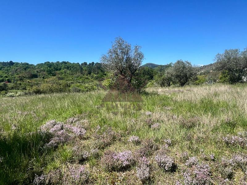 Terrain constructible - 1 180 m²