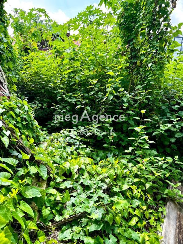 Terrain constructible - 223 m²