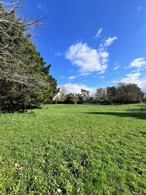 Terrain constructible - 3 300 m²