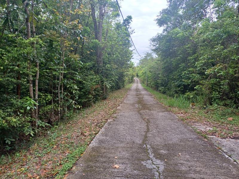 Terrain constructible - 6 000 m²