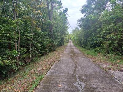 Terrain constructible - 6 000 m²