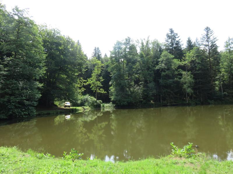 Terrain de loisirs - 4 560 m²