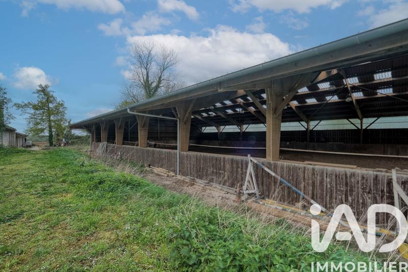 Château - 1 230 m² - 23 pièces