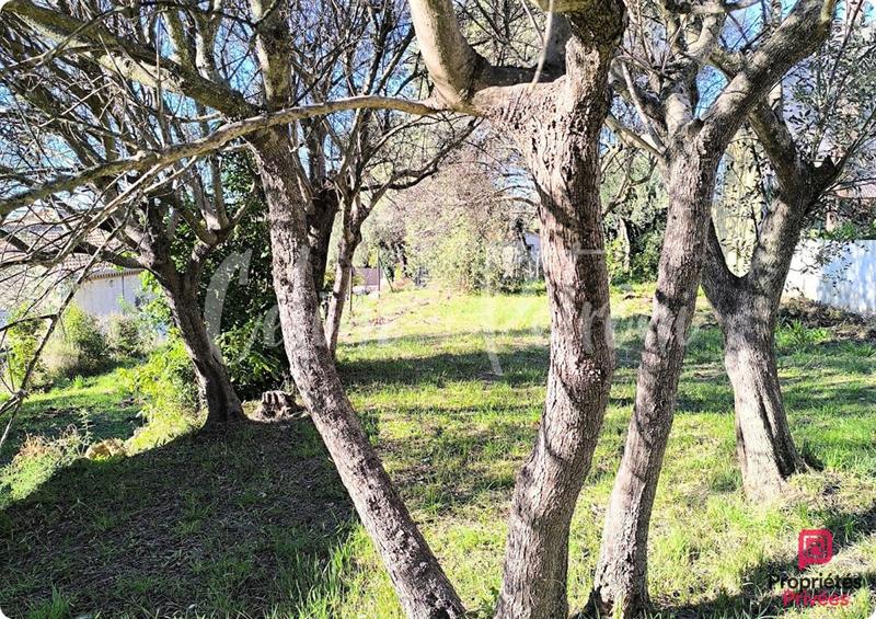 Terrain constructible - 1 000 m²