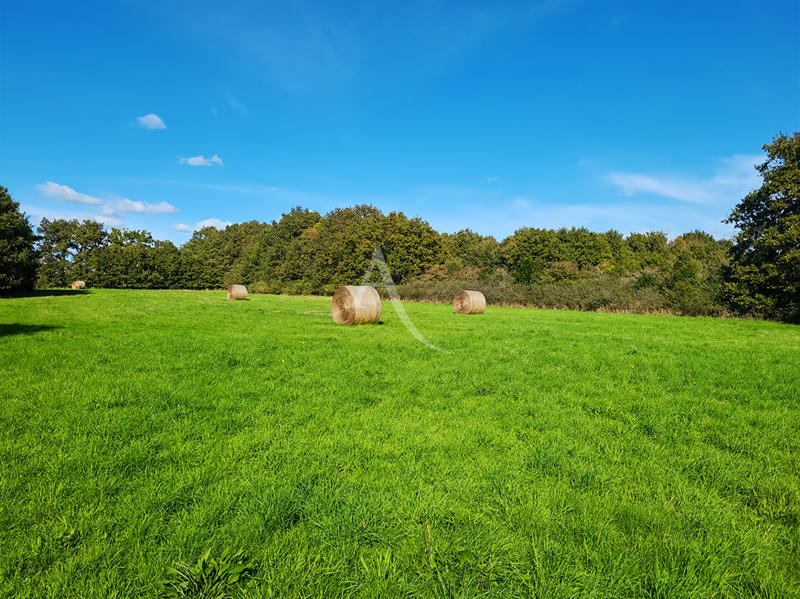 Maison - 39 m² - 2 pièces