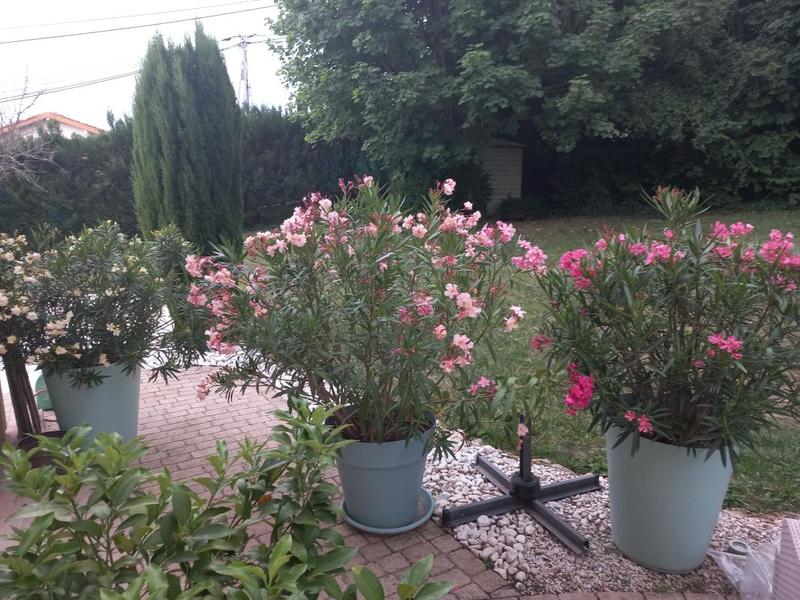 Maison - 208 m² - 7 pièces