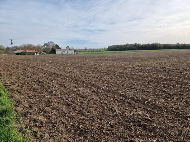 Terrain constructible - 1 300 m²