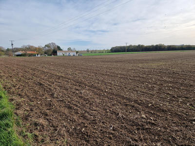 Terrain constructible - 1 300 m²