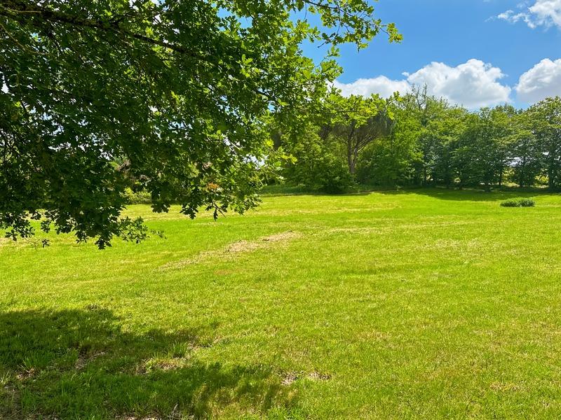 Terrain constructible - 4 586 m²