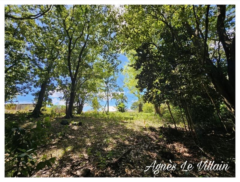 Terrain constructible - 3 123 m²