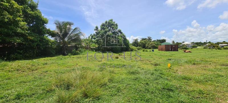 Terrain constructible - 781 m²