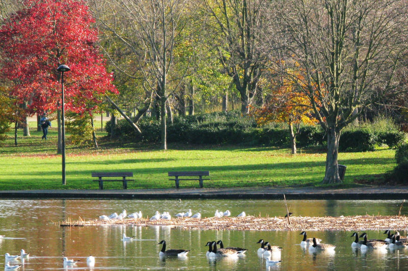 Appartement - 19 m² - 1 pièce