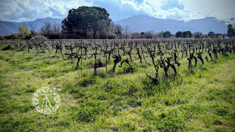 Terrain agricole - 2 169 m²