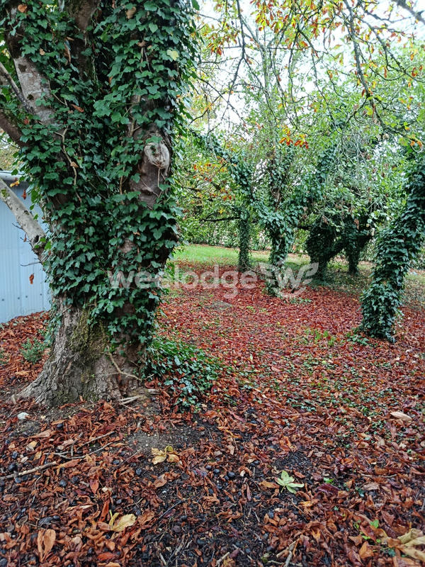 Maison ancienne - 258 m² - 6 pièces