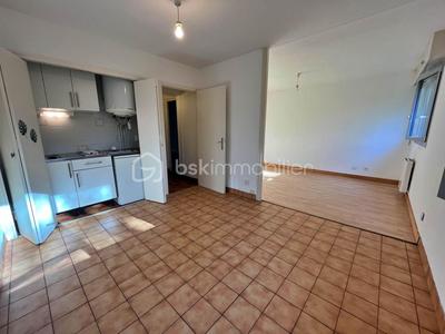 Appartement - 34 m² - 1 pièce