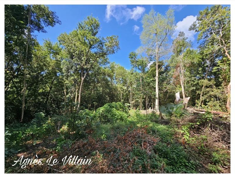 Terrain constructible - 3 123 m²