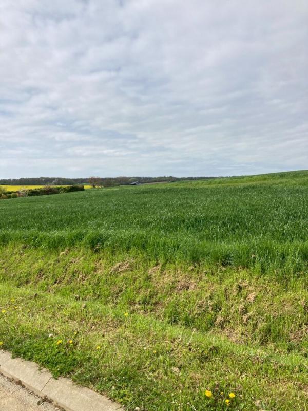 Terrain constructible - 2 898 m²