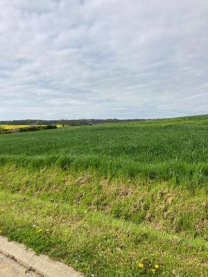 Terrain constructible - 2 898 m²