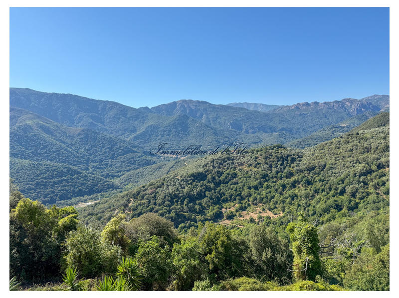 Maison - 327 m² - 11 pièces