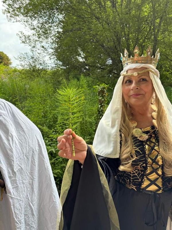 La forêt enchantée