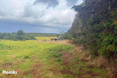 Terrain - 19 620 m²