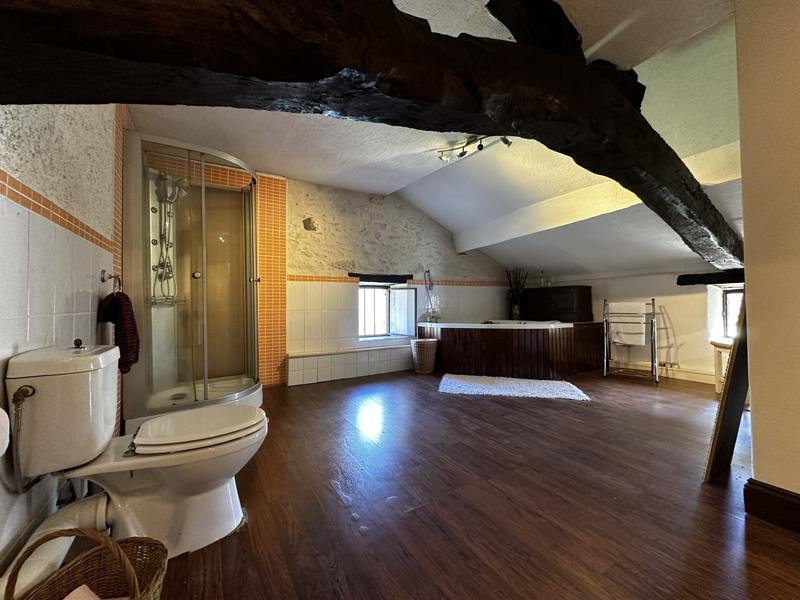 Maison traditionnelle - 302 m² - 7 pièces