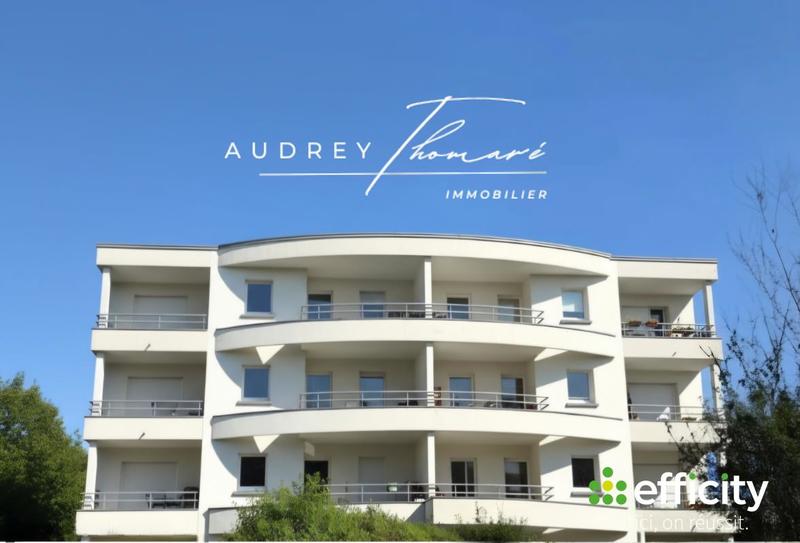 Appartement - 54 m² - 2 pièces