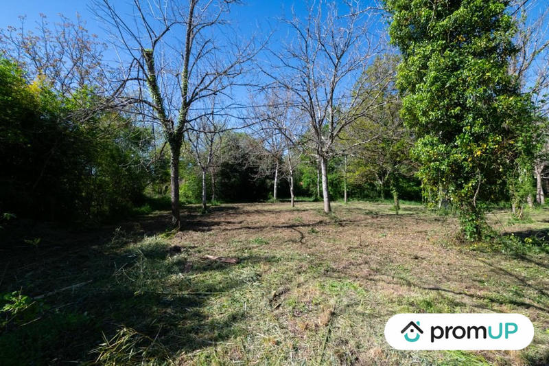 Terrain - 10 000 m²