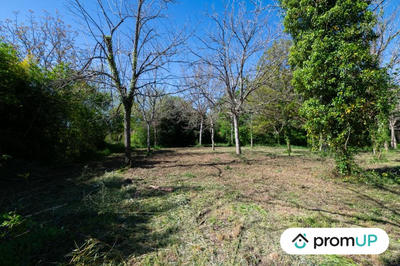 Terrain - 10 000 m²