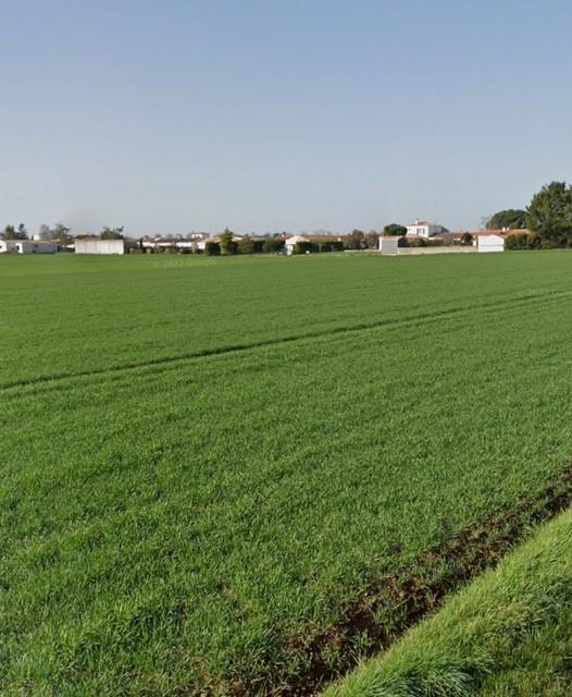 Terrain constructible - 312 m²