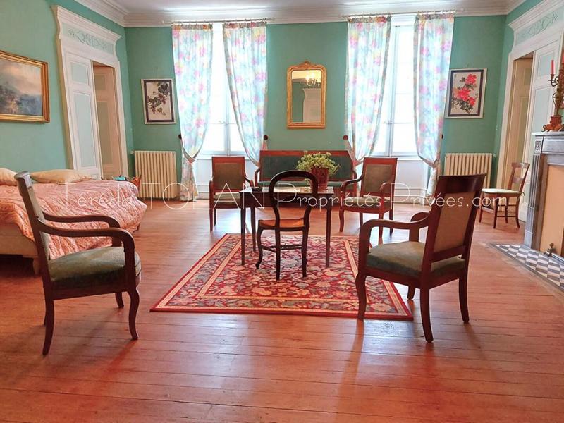 Château - 775 m² - 17 pièces