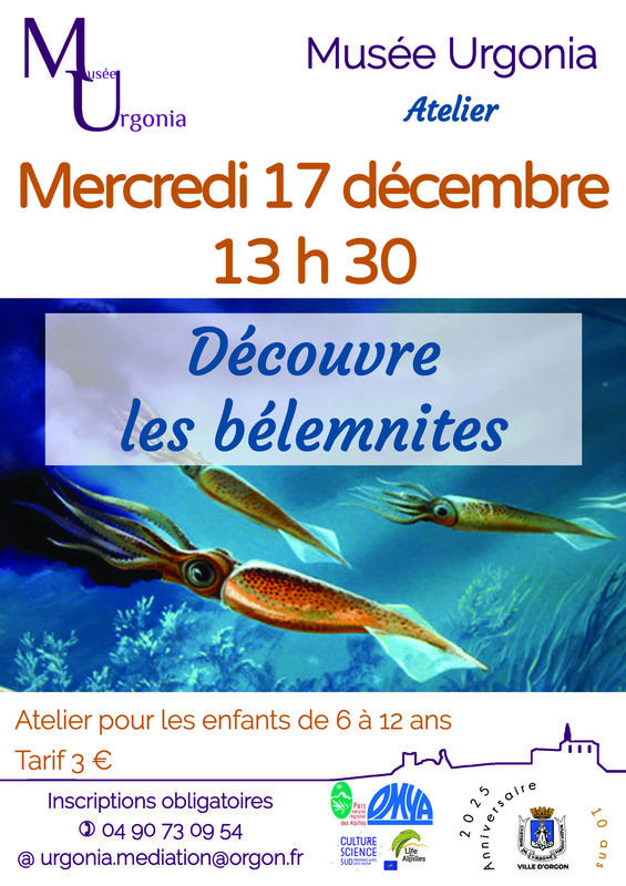 Atelier « a la recherche des bélemnites »