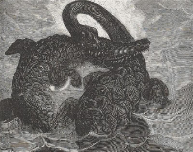 Conférence : Sur les traces d'un combat de dinosaures