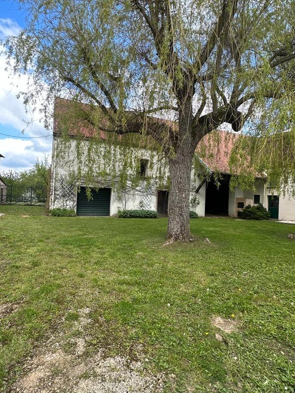 Propriété - 290 m² - 12 pièces