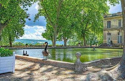 Manoir - 2 500 m² - 38 pièces